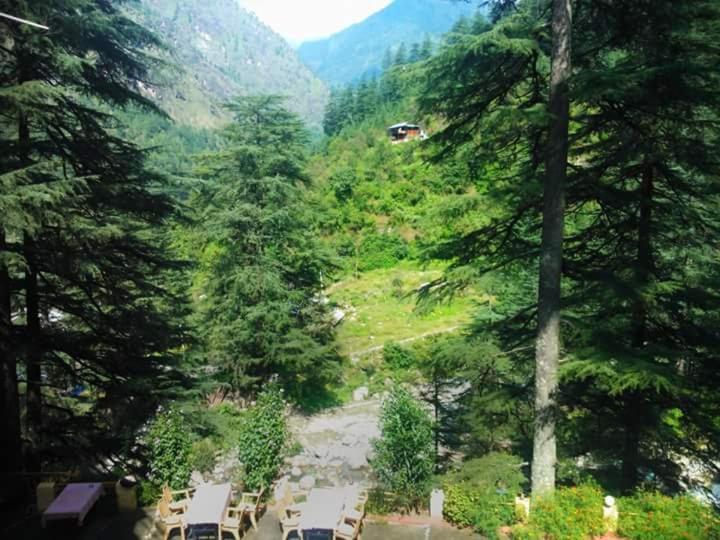 Hotel Deep Forest Kasol Zewnętrze zdjęcie